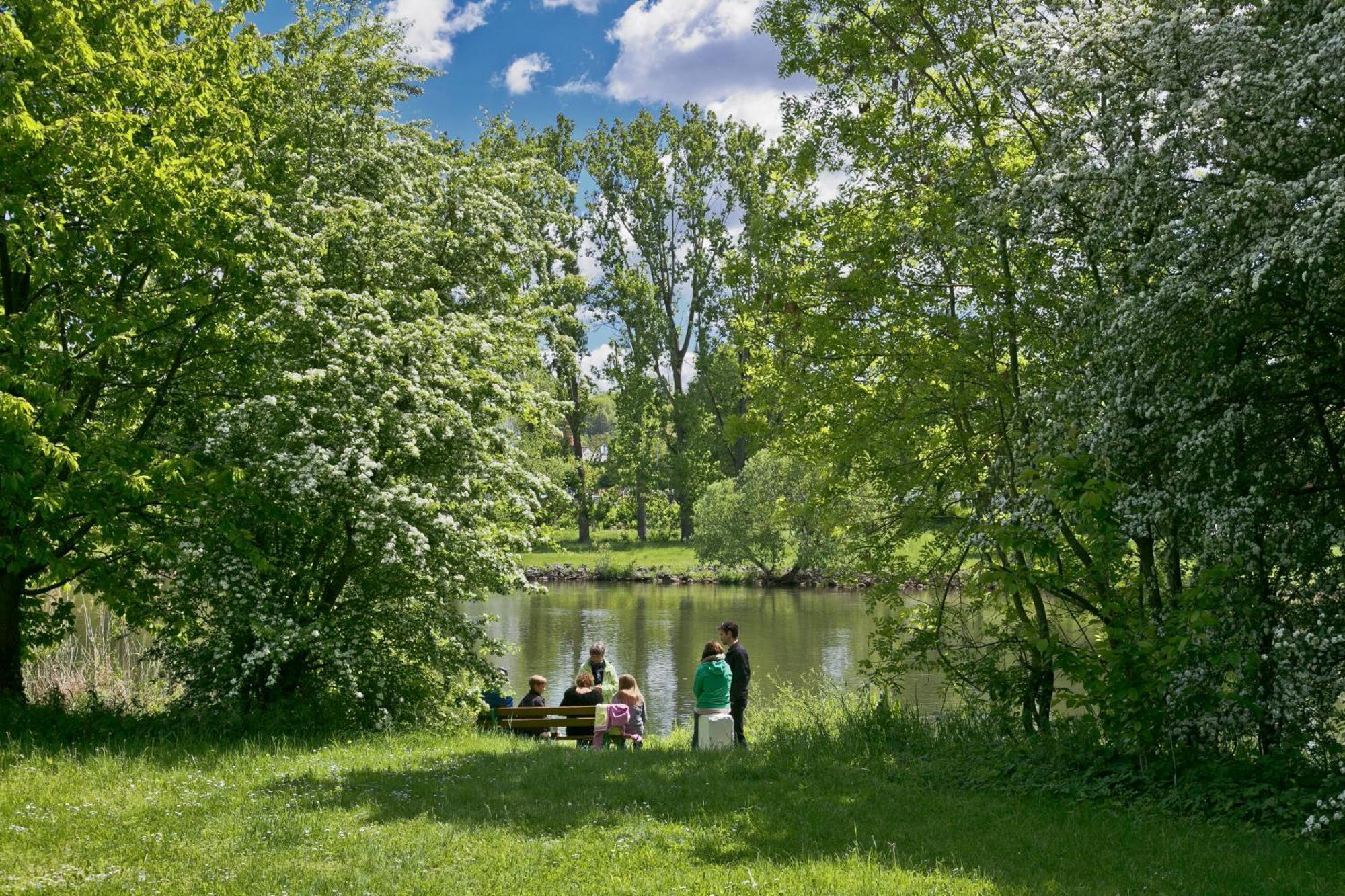 Knaus Campingpark Frickenhausen Frickenhausen am Main Eksteriør billede